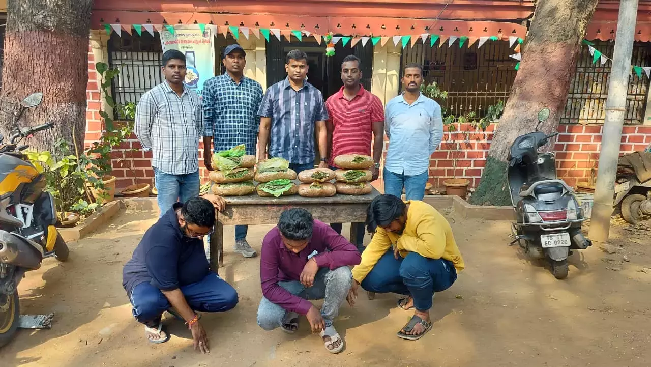 Telangana: हैदराबाद में गांजा बेचने के आरोप में 3 लोग गिरफ्तार Telangana: हैदराबाद में गांजा बेचने के आरोप में 3 लोग गिरफ्तार