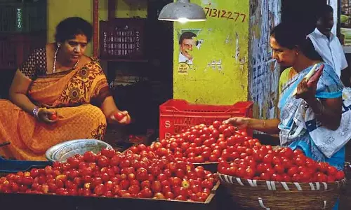 Tirunelveli में टमाटर के दाम गिरकर 10 रुपये किलो पर आ गए Tirunelveli में टमाटर के दाम गिरकर 10 रुपये किलो पर आ गए