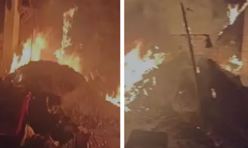 MP : आधी रात को लगी आग ने मुरैना सब्जी मंडी को तबाह कर दिया, लाखों का नुकसान हुआ MP : आधी रात को लगी आग ने मुरैना सब्जी मंडी को तबाह कर दिया, लाखों का नुकसान हुआ