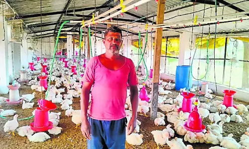 Karnataka : पोल्ट्री फार्मिंग से ज़्यादा मुनाफ़ा