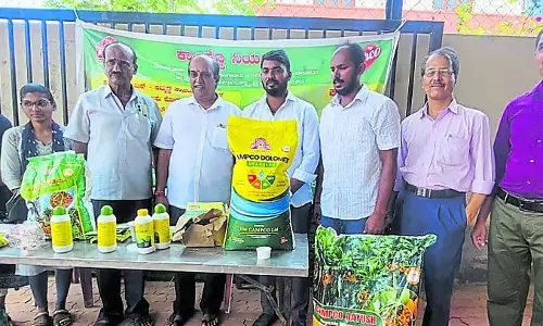 Karnataka : कैम्पको ने लीफ स्पॉट बीमारी को कंट्रोल करने के लिए बड़ा कदम उठाया