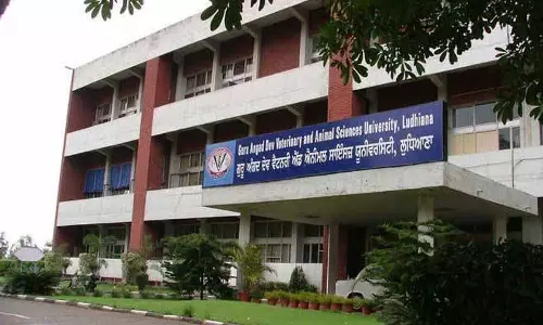 Vet University के छात्र स्टाइपेंड बढ़ाने में ‘देरी’ से नाराज़, विरोध प्रदर्शन फिर से शुरू करने की चेतावनी दी Vet University के छात्र स्टाइपेंड बढ़ाने में ‘देरी’ से नाराज़, विरोध प्रदर्शन फिर से शुरू करने की चेतावनी दी