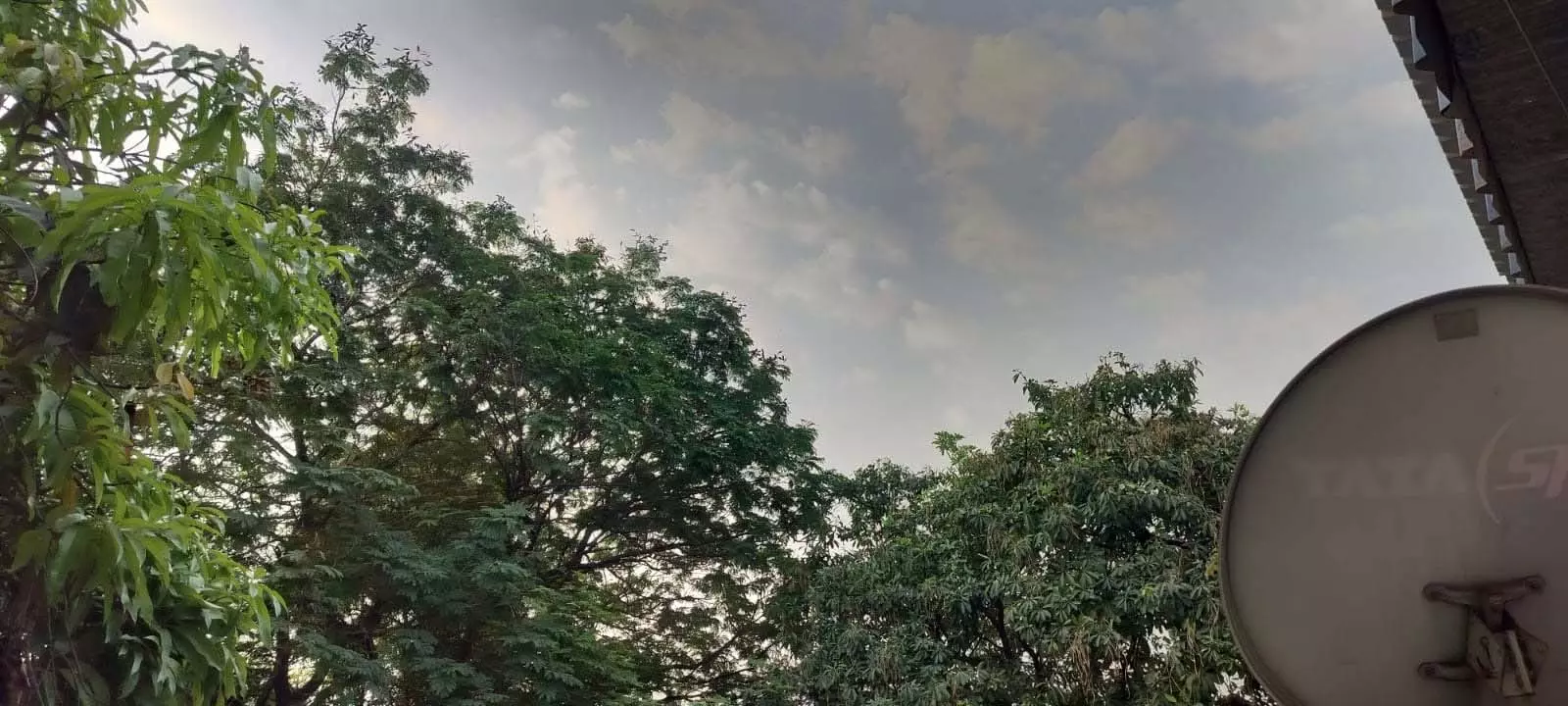 कई राज्यों में अगले 4 दिन तक आंधी और बारिश का अलर्ट, छत्तीसगढ़ में भी चेतावनी कई राज्यों में अगले 4 दिन तक आंधी और बारिश का अलर्ट, छत्तीसगढ़ में भी चेतावनी