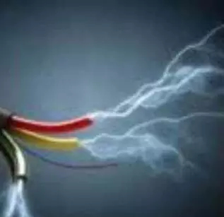 करंट से 4 कुत्तों की मौत करंट से 4 कुत्तों की मौत