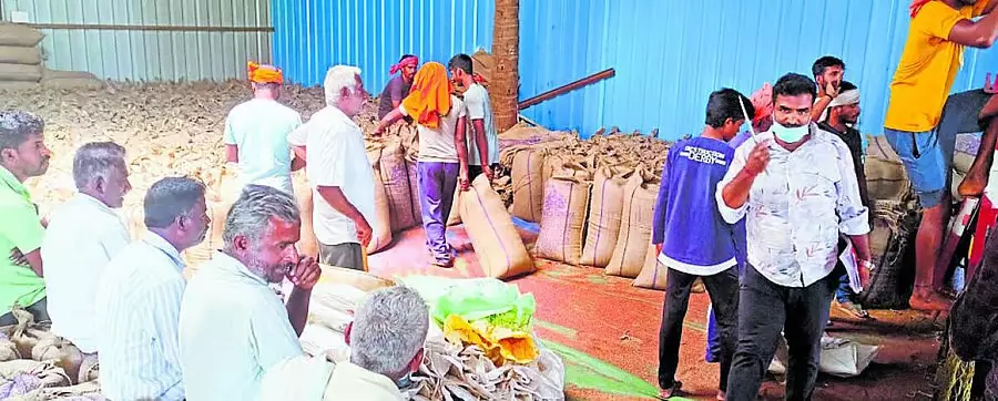 Karnataka ; किसानों से 60% बाजरा खरीदा गया Karnataka ; किसानों से 60% बाजरा खरीदा गया