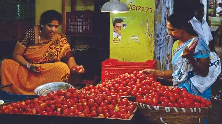 Tirunelveli में टमाटर के दाम गिरकर 10 रुपये किलो पर आ गए Tirunelveli में टमाटर के दाम गिरकर 10 रुपये किलो पर आ गए