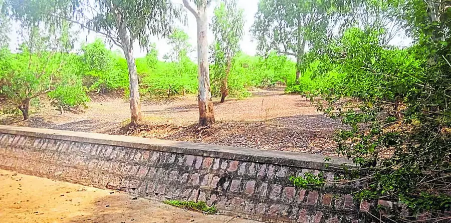 Koppal : गर्मियों से पहले झीलें सुखी Koppal : गर्मियों से पहले झीलें सुखी
