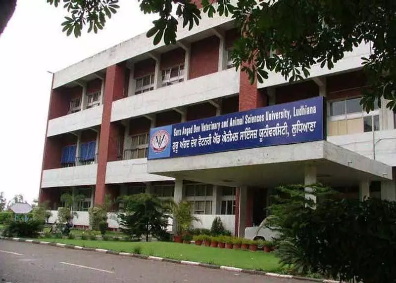 Vet University के छात्र स्टाइपेंड बढ़ाने में ‘देरी’ से नाराज़, विरोध प्रदर्शन फिर से शुरू करने की चेतावनी दी Vet University के छात्र स्टाइपेंड बढ़ाने में ‘देरी’ से नाराज़, विरोध प्रदर्शन फिर से शुरू करने की चेतावनी दी