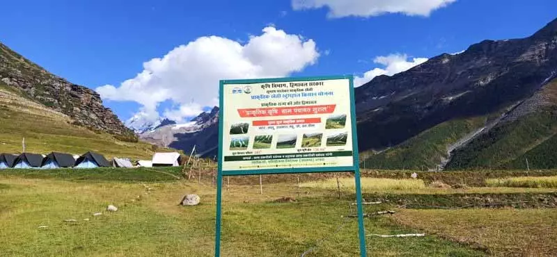 Pangi Valley प्राकृतिक खेती में अग्रणी बनकर उभरी, अभियान के तहत 2.7K पंजीकृत Pangi Valley प्राकृतिक खेती में अग्रणी बनकर उभरी, अभियान के तहत 2.7K पंजीकृत