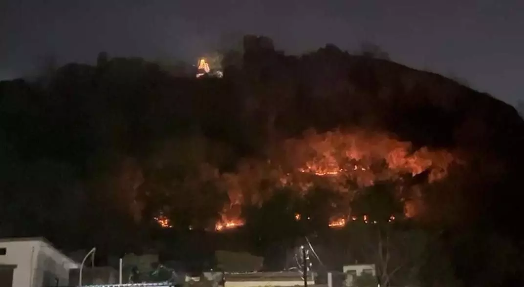 CG BREAKING: बुढ़ादेव पहाड़ी में भीषण आग, शहर में दहशत, दमकल नहीं पहुंची CG BREAKING: बुढ़ादेव पहाड़ी में भीषण आग, शहर में दहशत, दमकल नहीं पहुंची
