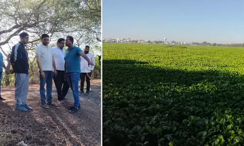 Indore : नगर निगम कमिश्नर क्षितिज सिंघल ने सिरपुर झील से जलकुंभी तुरंत हटाने के आदेश दिए