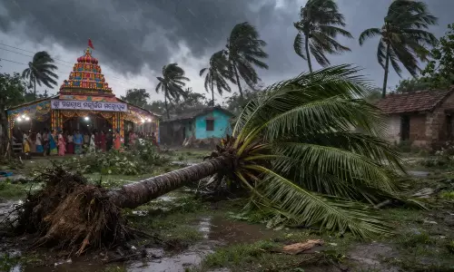 Odisha : पिपिली में धार्मिक सभा के दौरान नारियल का पेड़ गिरने से एक व्यक्ति की मौत Odisha : पिपिली में धार्मिक सभा के दौरान नारियल का पेड़ गिरने से एक व्यक्ति की मौत
