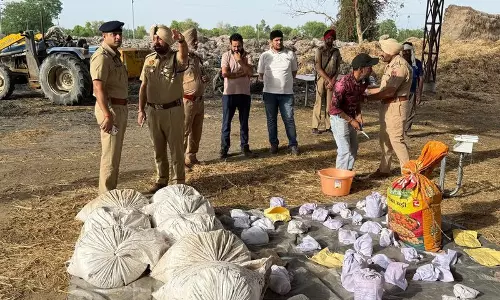 पुलिस ने नशे से जुड़े 45 मामलों में ज़ब्त किए गए नशीले पदार्थ नष्ट किए: Kapurthala SSP पुलिस ने नशे से जुड़े 45 मामलों में ज़ब्त किए गए नशीले पदार्थ नष्ट किए: Kapurthala SSP