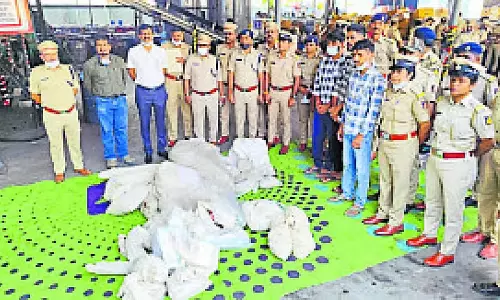 Karnataka : 111 किलोग्राम मारिजुआना नष्ट किया गया Karnataka : 111 किलोग्राम मारिजुआना नष्ट किया गया