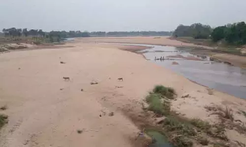 Kendrapara: सूखता लूना जल संकट का संकेत Kendrapara: सूखता लूना जल संकट का संकेत