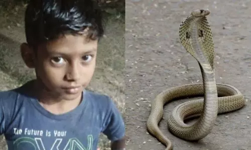 CG: जहरीले सांप के काटने से 9 वर्षीय मासूम की मौत