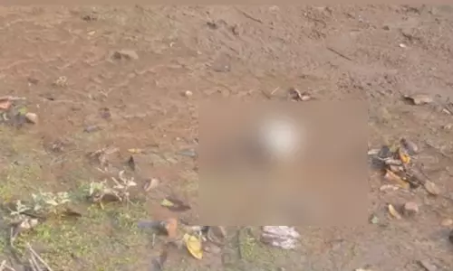Manipur : सिंगदा डैम परिसर में मानव कंकाल के अवशेष मिले Manipur : सिंगदा डैम परिसर में मानव कंकाल के अवशेष मिले