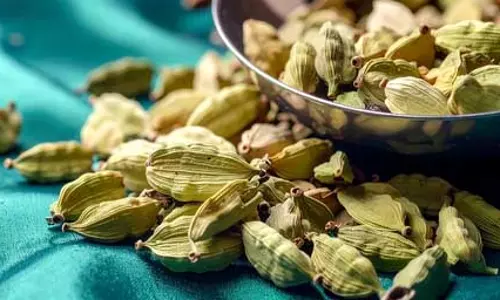 गर्मियों में वरदान से कम नहीं इलायची, गले की खराश से लेकर मुंह के छाले तक में दे राहत गर्मियों में वरदान से कम नहीं इलायची, गले की खराश से लेकर मुंह के छाले तक में दे राहत