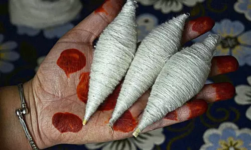 सरकार पश्मीना सर्टिफिकेशन को मजबूत करने के लिए SEM टेस्टिंग ला रही है