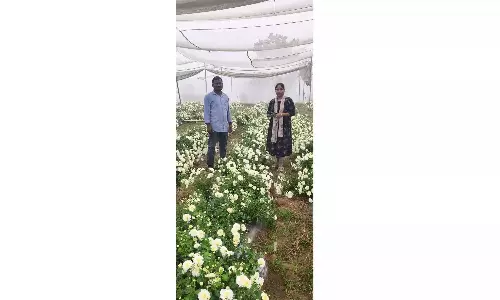 युवा किसान ने मॉडर्न Technology से बदली खेती की तस्वीर