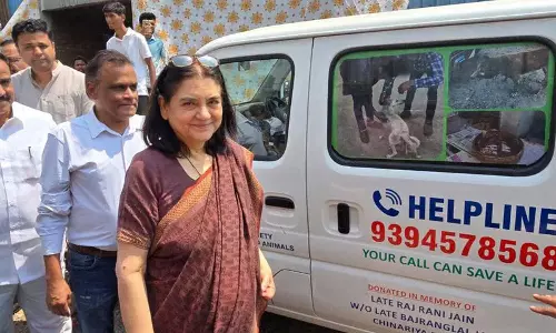 मेनका गांधी ने हैदराबाद में GHSPCA एनिमल एम्बुलेंस लॉन्च की मेनका गांधी ने हैदराबाद में GHSPCA एनिमल एम्बुलेंस लॉन्च की