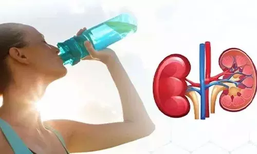 गर्मियों में हमें अपनी Kidney की सेहत का ध्यान रखना चाहिए, ये सेफ्टी टिप्स अपनाएं