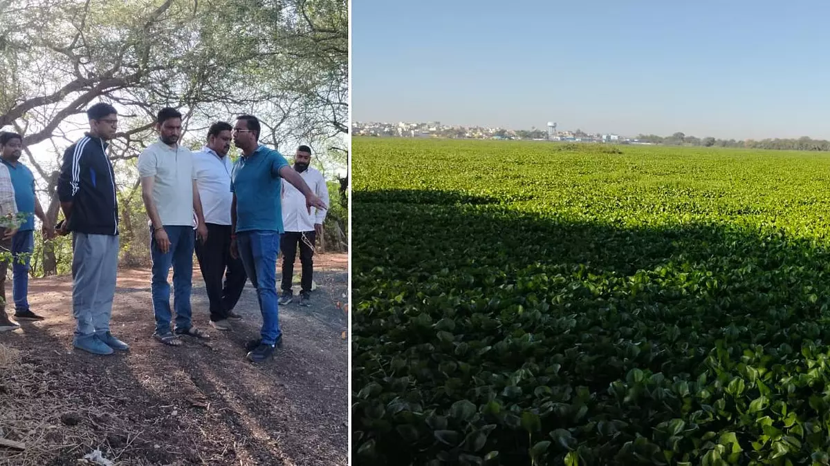 Indore : नगर निगम कमिश्नर क्षितिज सिंघल ने सिरपुर झील से जलकुंभी तुरंत हटाने के आदेश दिए Indore : नगर निगम कमिश्नर क्षितिज सिंघल ने सिरपुर झील से जलकुंभी तुरंत हटाने के आदेश दिए
