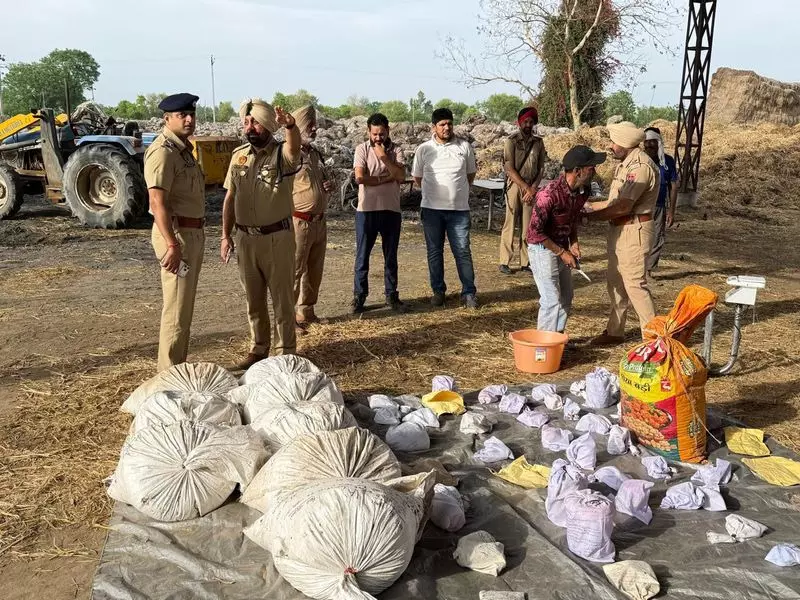 पुलिस ने नशे से जुड़े 45 मामलों में ज़ब्त किए गए नशीले पदार्थ नष्ट किए: Kapurthala SSP पुलिस ने नशे से जुड़े 45 मामलों में ज़ब्त किए गए नशीले पदार्थ नष्ट किए: Kapurthala SSP
