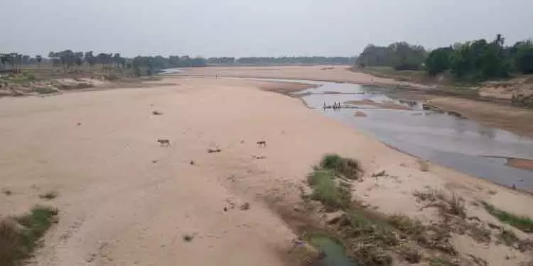 Kendrapara: सूखता लूना जल संकट का संकेत Kendrapara: सूखता लूना जल संकट का संकेत