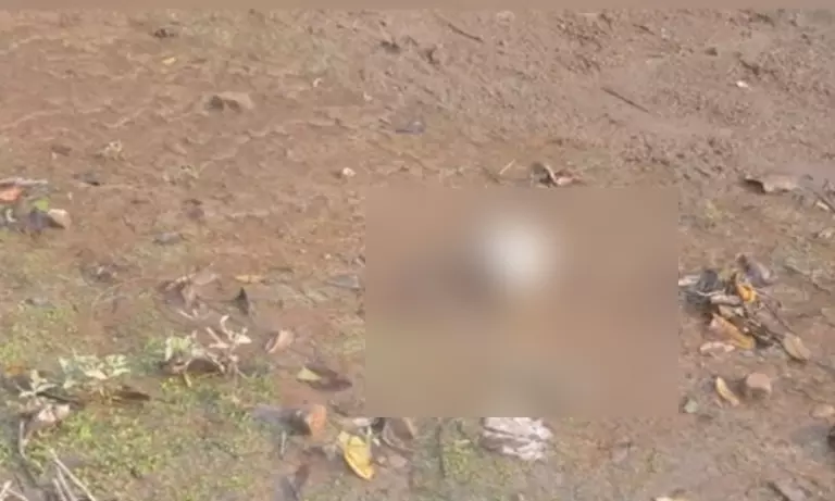Manipur : सिंगदा डैम परिसर में मानव कंकाल के अवशेष मिले Manipur : सिंगदा डैम परिसर में मानव कंकाल के अवशेष मिले