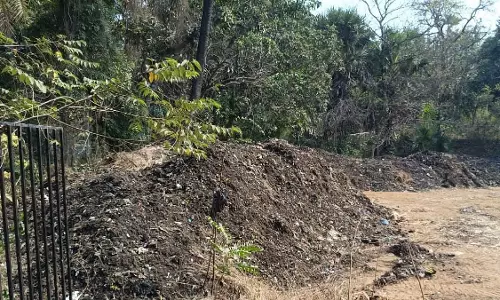 Mumbai : मीरा-भायंदर के उत्तन साइट से गोरई गांव में अवैध डंपिंग की खबर Mumbai : मीरा-भायंदर के उत्तन साइट से गोरई गांव में अवैध डंपिंग की खबर