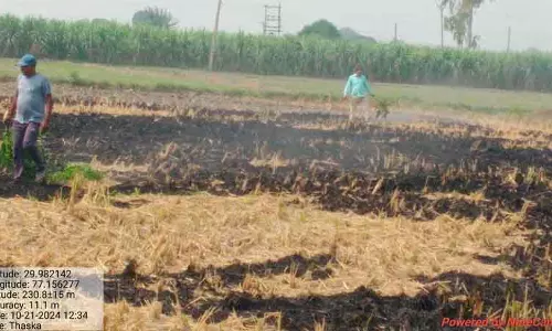 Yamunanagar जिले में गेहूं की पराली जलाने पर रोक