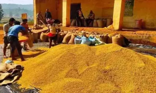 झारखंड में धान खरीद लक्ष्य से पीछे, दो दिन में 14 लाख क्विंटल की चुनौती झारखंड में धान खरीद लक्ष्य से पीछे, दो दिन में 14 लाख क्विंटल की चुनौती