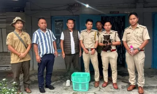 Arunachal : देवमाली फॉरेस्ट डिवीजन ने हिमालयन काले भालू के बच्चे को बचाया Arunachal : देवमाली फॉरेस्ट डिवीजन ने हिमालयन काले भालू के बच्चे को बचाया