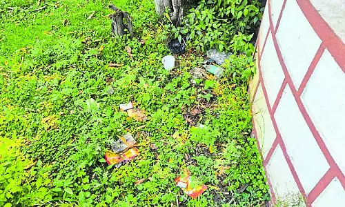 Karnataka : तालावरघट्टा पार्क की देखभाल न होने से लोगों में नाराजगी Karnataka : तालावरघट्टा पार्क की देखभाल न होने से लोगों में नाराजगी