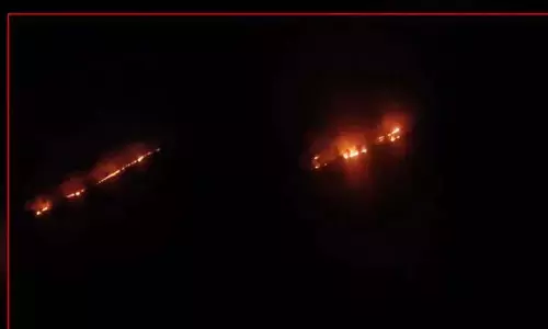 Nirmal में रंजनी थांडा के पास पहाड़ियों में भीषण आग लगी