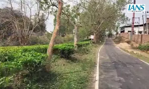 त्रिपुरा के सबरूम में CPI(M) नेताओं का जोरदार घर-घर प्रचार त्रिपुरा के सबरूम में CPI(M) नेताओं का जोरदार घर-घर प्रचार