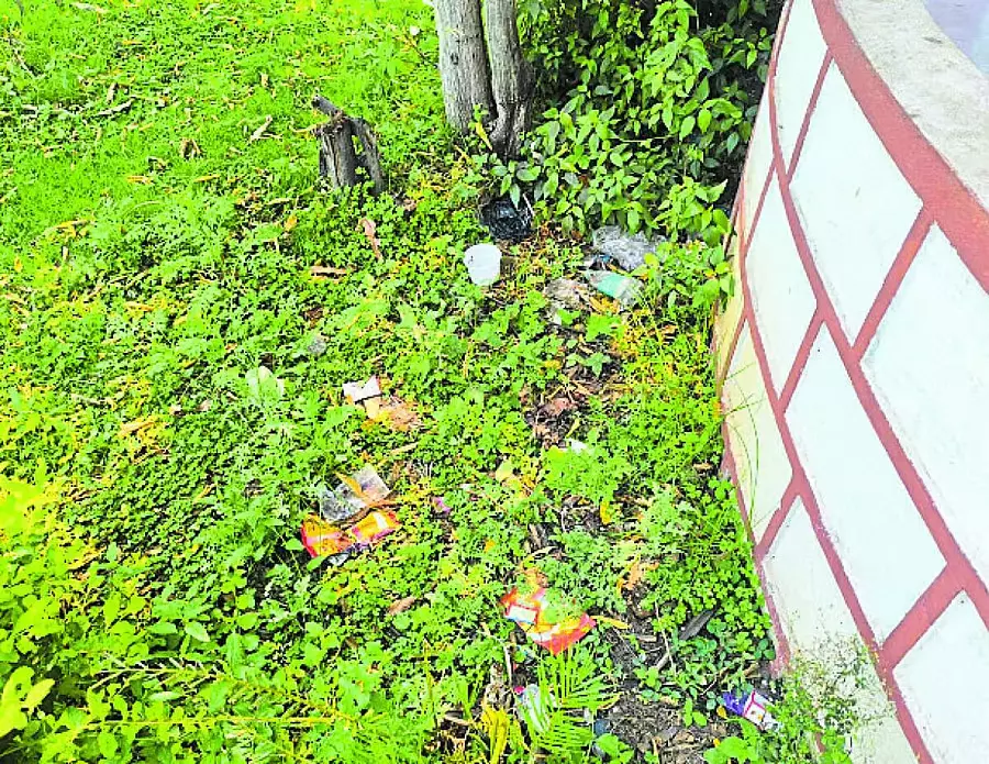 Karnataka : तालावरघट्टा पार्क की देखभाल न होने से लोगों में नाराजगी Karnataka : तालावरघट्टा पार्क की देखभाल न होने से लोगों में नाराजगी