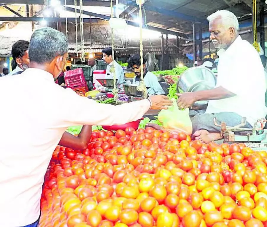 Nashik से प्याज, लहसुन का आयात: सस्ती कीमतों पर सब्जियां Nashik से प्याज, लहसुन का आयात: सस्ती कीमतों पर सब्जियां