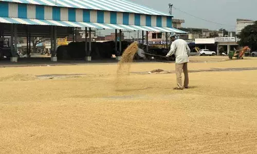Kurukshetra की चावल मिलों से गायब धान, बड़ी गड़बड़ियों का संकेत