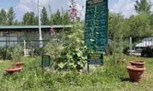केंद्रीय आयुष मंत्रालय ने Jammu संभाग में 100 स्कूल हर्बल गार्डन को मंजूरी दी