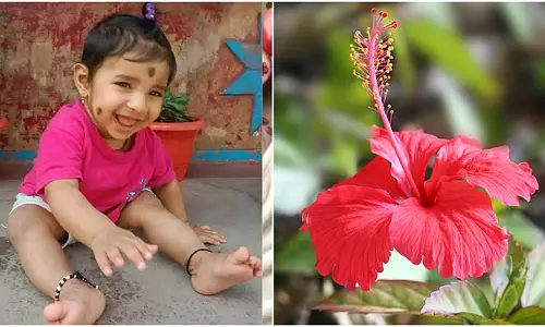 Mysuru : घर के दरवाजे पर गुड़हल का फूल निगलने से छह महीने के बच्चे की मौत Mysuru : घर के दरवाजे पर गुड़हल का फूल निगलने से छह महीने के बच्चे की मौत