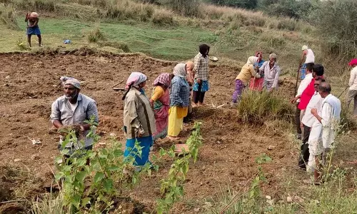 Employment-Guaranteed वाले मज़दूरों का संघर्ष जारी