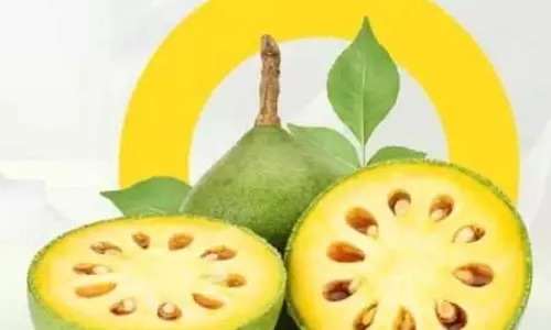 गर्मी में शरीर को ठंडा रखता है बेल का शर्बत, जानें बनाने का आसान तरीका गर्मी में शरीर को ठंडा रखता है बेल का शर्बत, जानें बनाने का आसान तरीका