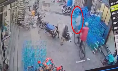 चोरी मामले में तीन नाबालिग पुलिस कस्टडी से भागे, 2 गिरफ्तार, एक फरार चोरी मामले में तीन नाबालिग पुलिस कस्टडी से भागे, 2 गिरफ्तार, एक फरार