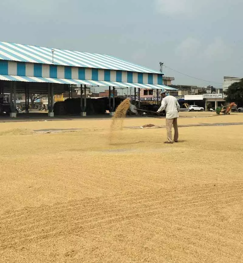 Kurukshetra की चावल मिलों से गायब धान, बड़ी गड़बड़ियों का संकेत Kurukshetra की चावल मिलों से गायब धान, बड़ी गड़बड़ियों का संकेत