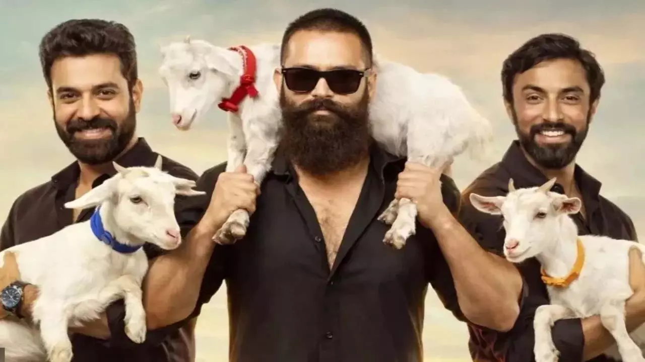 Aadu 3 केरल बॉक्स ऑफिस कलेक्शन Aadu 3 केरल बॉक्स ऑफिस कलेक्शन