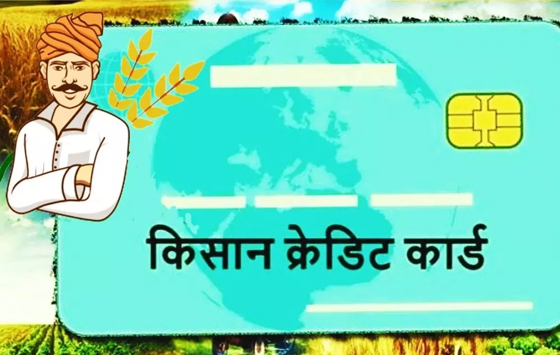 Shimla: कांगड़ा में KCC से ऋण वितरण का रिकॉर्ड Shimla: कांगड़ा में KCC से ऋण वितरण का रिकॉर्ड
