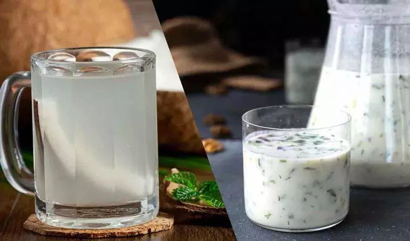नारियल पानी या छाछ Summer में कौन ज़्यादा सेहतमंद नारियल पानी या छाछ Summer में कौन ज़्यादा सेहतमंद