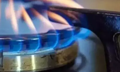 सूखी पत्तियों से बनाई जा रही कुकिंग गैस, LPG सिलेंडर लॉग आउट सूखी पत्तियों से बनाई जा रही कुकिंग गैस, LPG सिलेंडर लॉग आउट
